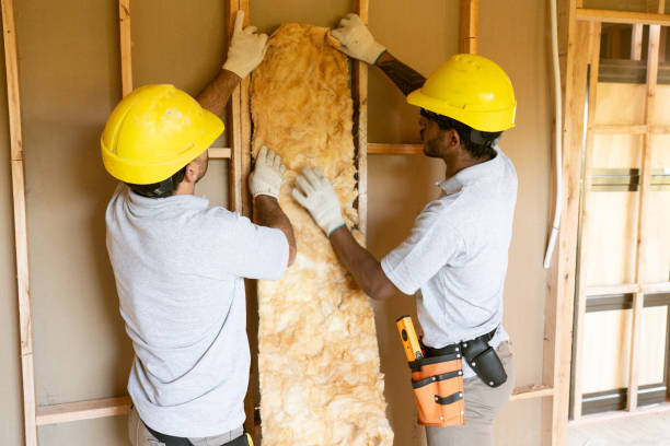 Types of Insulation We Offer in Camanche, IA